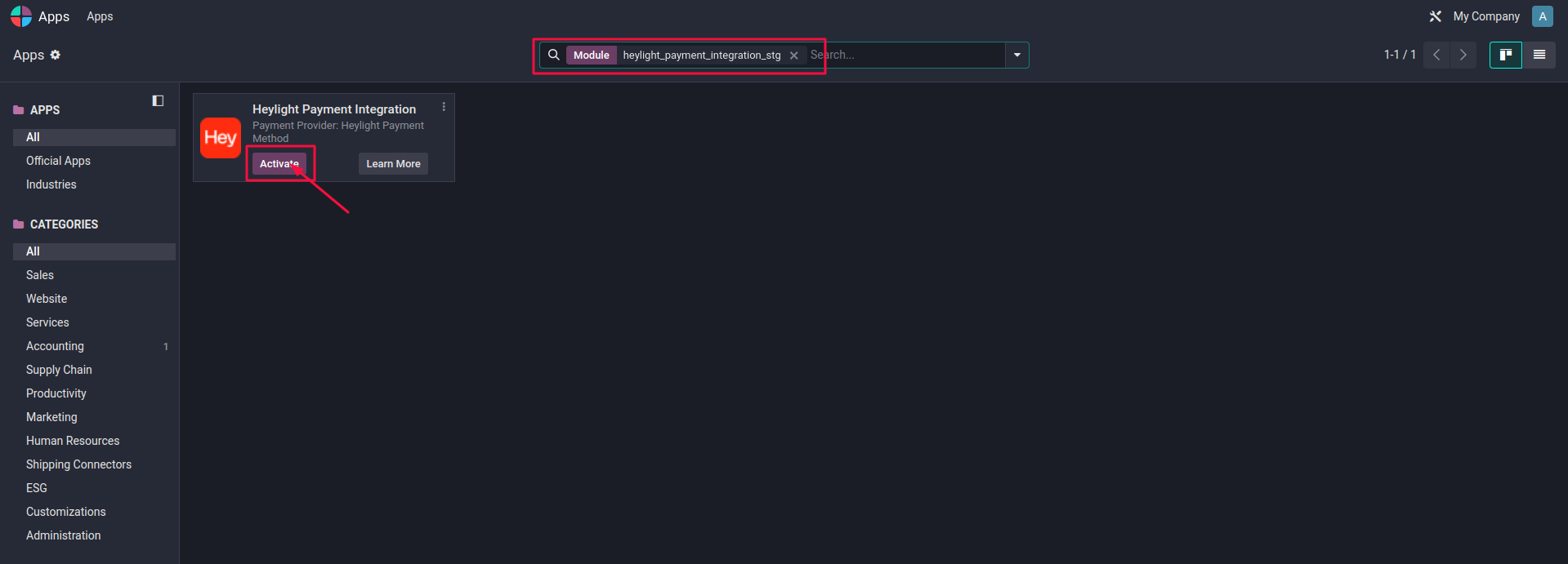 heylight payment gateway integration in odoo